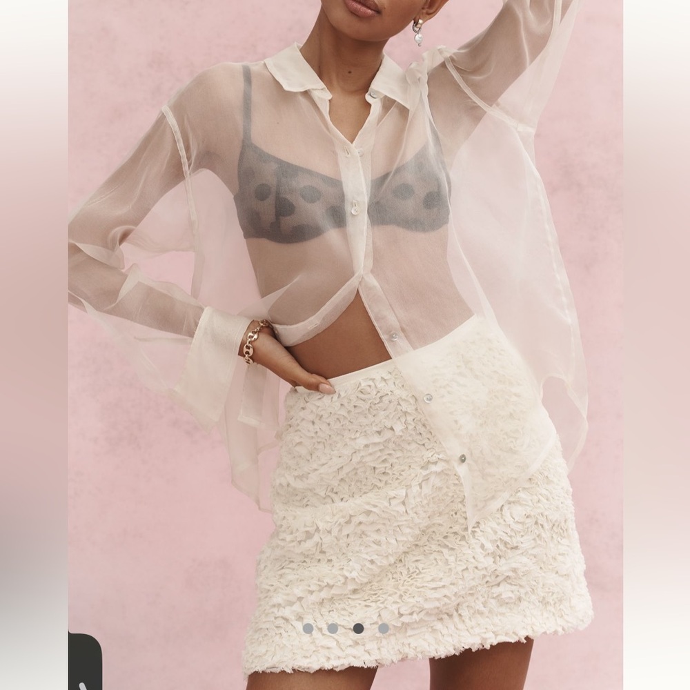 Anthropologie Plush Tulle Mini Skirt - Picture 3 of 11